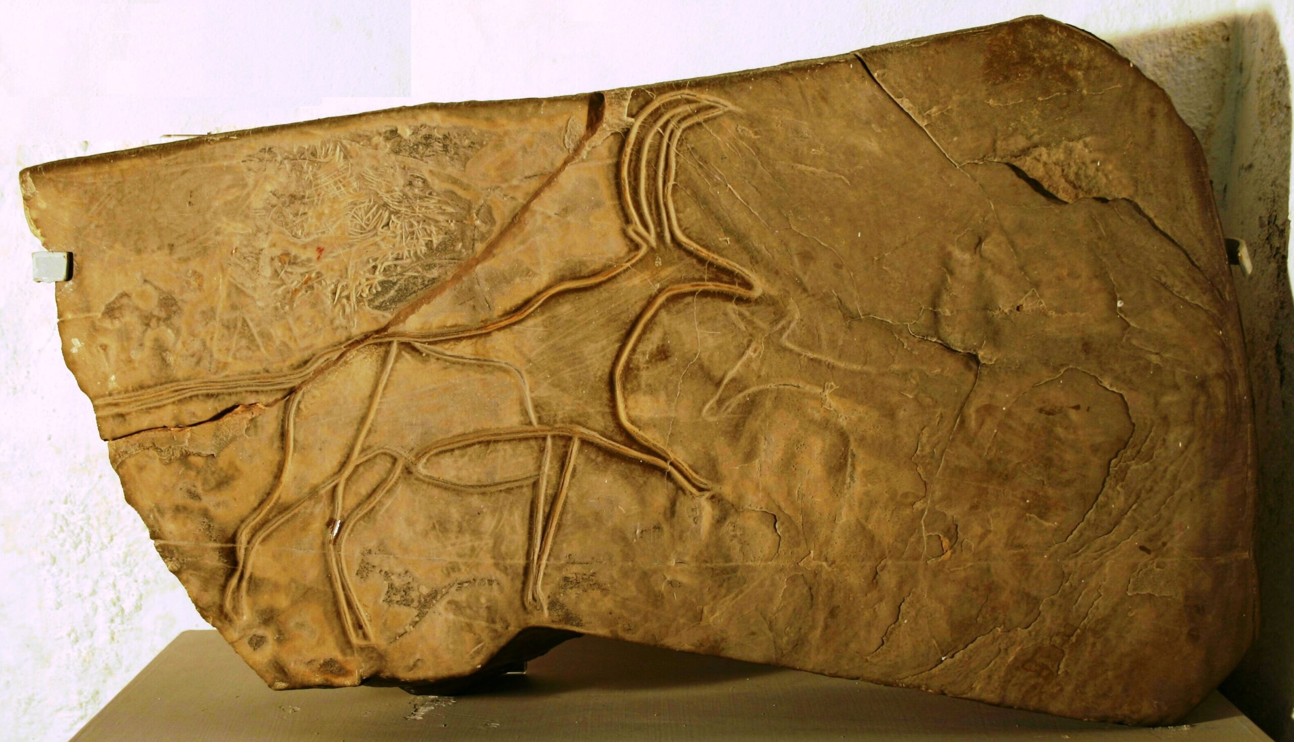 A piece of wall engraving