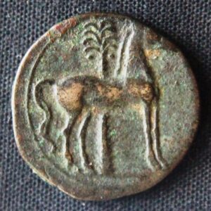 Punic Coin